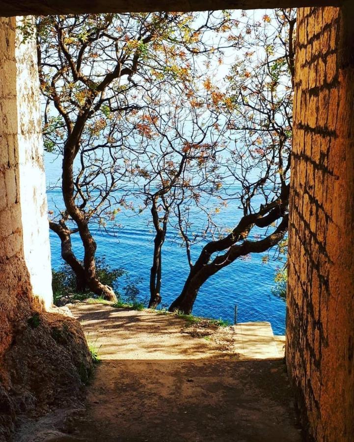 Eden Mediterranean House Vrsine Εξωτερικό φωτογραφία